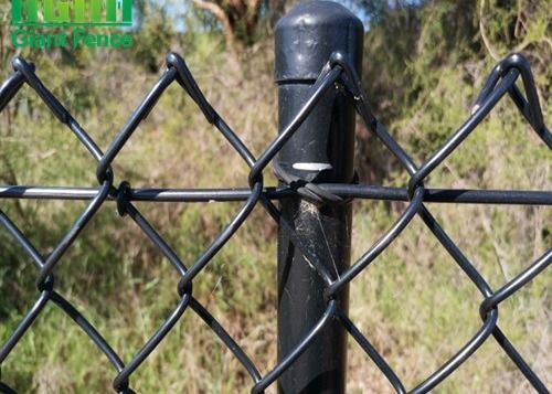 O Pvc revestiu o fio decorativo Mesh Fencing do elo de corrente do perímetro 2mm do jardim